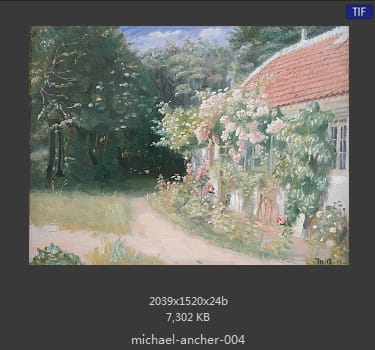 【丹麦】迈克尔·安科（Michael Ancher）