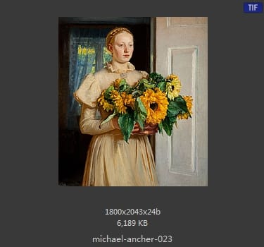 【丹麦】迈克尔·安科（Michael Ancher）