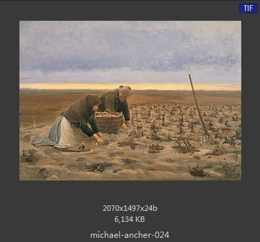 【丹麦】迈克尔·安科（Michael Ancher）