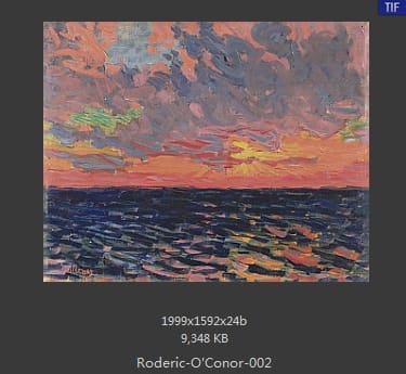 罗德里克·奥康纳（Roderic O'Conor）