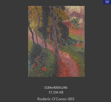 罗德里克·奥康纳（Roderic O'Conor）