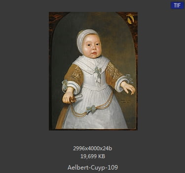 【荷兰】阿尔伯特·库普（Aelbert Cuyp）