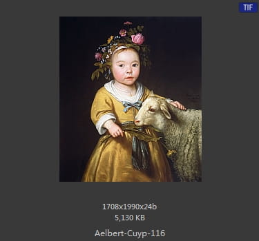 【荷兰】阿尔伯特·库普（Aelbert Cuyp）