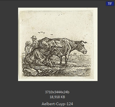 【荷兰】阿尔伯特·库普（Aelbert Cuyp）