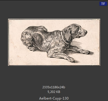 【荷兰】阿尔伯特·库普（Aelbert Cuyp）