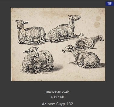 【荷兰】阿尔伯特·库普（Aelbert Cuyp）