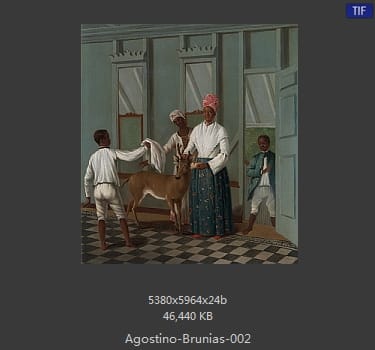 【意大利】阿戈斯蒂诺·布鲁尼亚斯（agostino brunias）