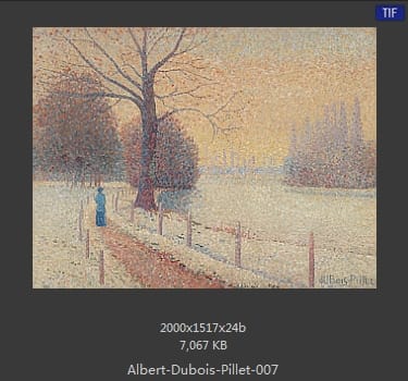【法国】 阿尔伯特·杜波依斯-皮勒（Albert Dubois-Pillet）