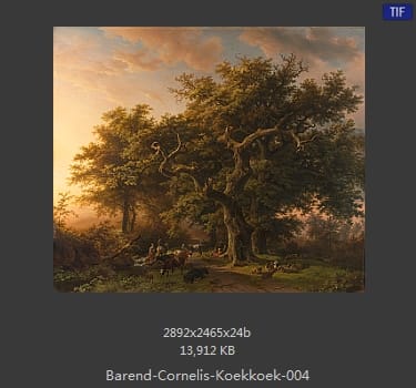 巴伦德·科内利斯·库库克(Barend Cornelius Koekkoek)
