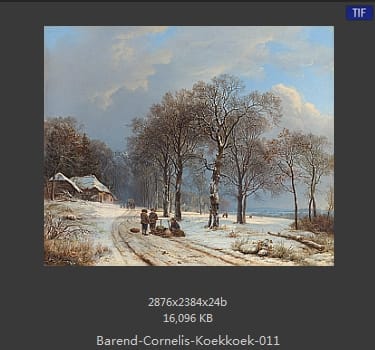 巴伦德·科内利斯·库库克(Barend Cornelius Koekkoek)