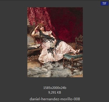 丹尼尔·埃尔南德斯·牟利罗(Daniel Hernandez Morillo)
