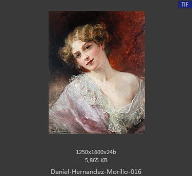 丹尼尔·埃尔南德斯·牟利罗(Daniel Hernandez Morillo)