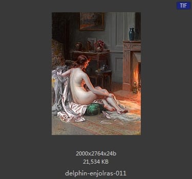 【法国】德尔菲恩·恩霍拉斯（Delphin Enjolras）