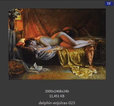 【法国】德尔菲恩·恩霍拉斯（Delphin Enjolras）