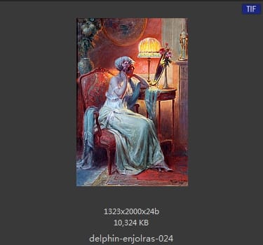 【法国】德尔菲恩·恩霍拉斯（Delphin Enjolras）