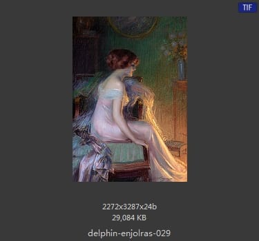 【法国】德尔菲恩·恩霍拉斯（Delphin Enjolras）