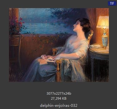 【法国】德尔菲恩·恩霍拉斯（Delphin Enjolras）