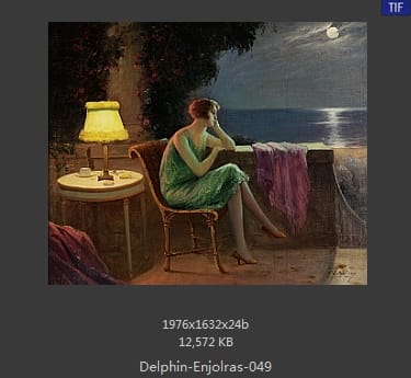 【法国】德尔菲恩·恩霍拉斯（Delphin Enjolras）