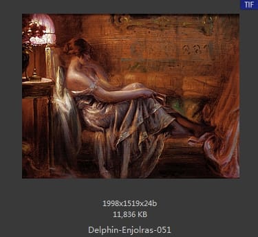 【法国】德尔菲恩·恩霍拉斯（Delphin Enjolras）