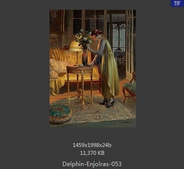 【法国】德尔菲恩·恩霍拉斯（Delphin Enjolras）