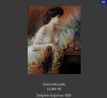 【法国】德尔菲恩·恩霍拉斯（Delphin Enjolras）