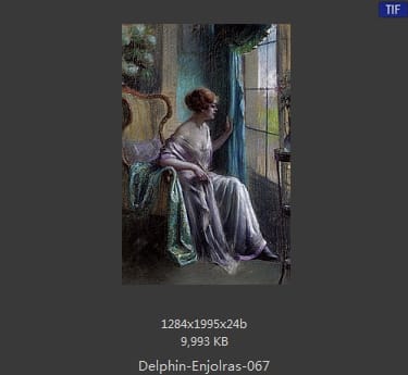 【法国】德尔菲恩·恩霍拉斯（Delphin Enjolras）