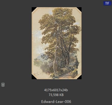 爱德华·利尔 Edward Lear