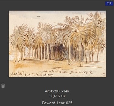 爱德华·利尔 Edward Lear