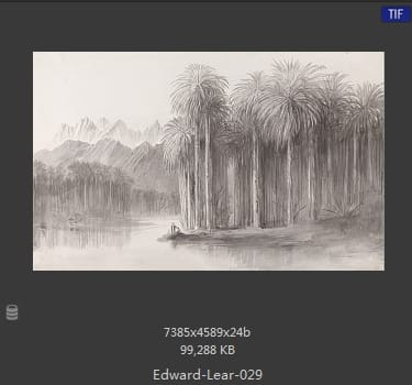 爱德华·利尔 Edward Lear