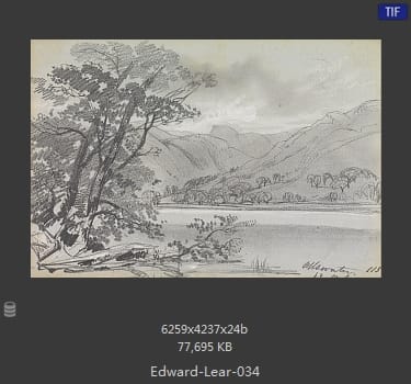 爱德华·利尔 Edward Lear