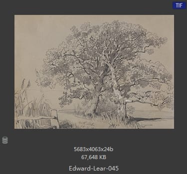 爱德华·利尔 Edward Lear