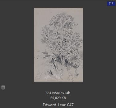 爱德华·利尔 Edward Lear