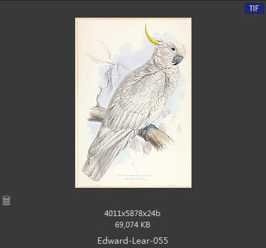 爱德华·利尔 Edward Lear