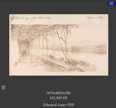 爱德华·利尔 Edward Lear