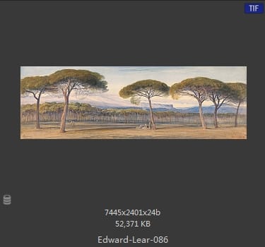 爱德华·利尔 Edward Lear