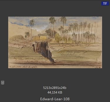 爱德华·利尔 Edward Lear
