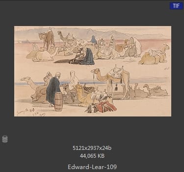 爱德华·利尔 Edward Lear
