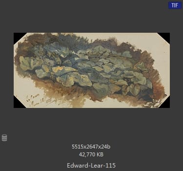 爱德华·利尔 Edward Lear
