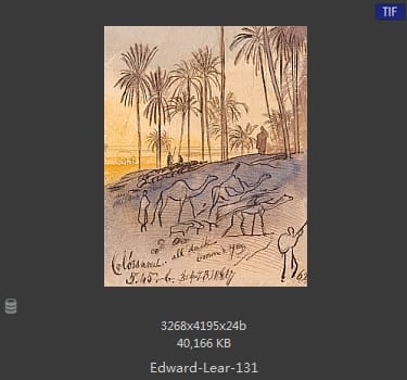 爱德华·利尔 Edward Lear