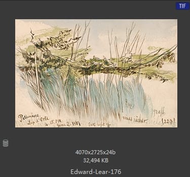 爱德华·利尔 Edward Lear