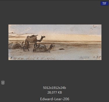 爱德华·利尔 Edward Lear