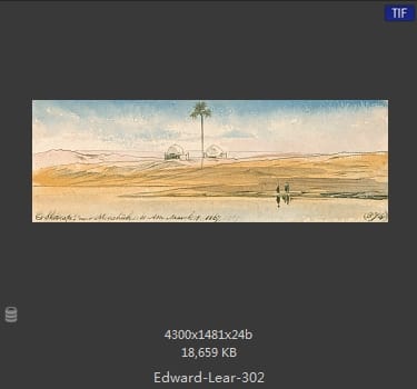 爱德华·利尔 Edward Lear