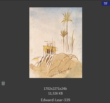 爱德华·利尔 Edward Lear
