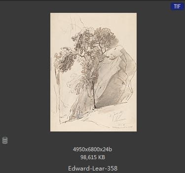 爱德华·利尔 Edward Lear