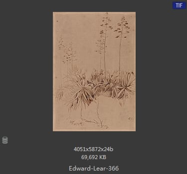 爱德华·利尔 Edward Lear