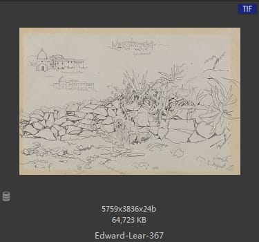 爱德华·利尔 Edward Lear
