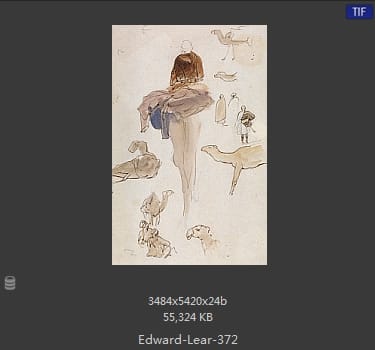爱德华·利尔 Edward Lear