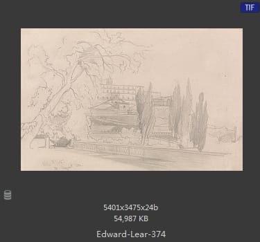 爱德华·利尔 Edward Lear