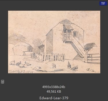 爱德华·利尔 Edward Lear