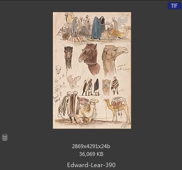 爱德华·利尔 Edward Lear